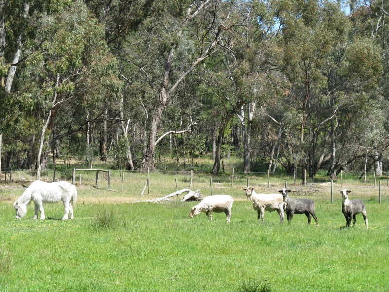 Lot 150 Gottwald Road, Williamstown SA 5351