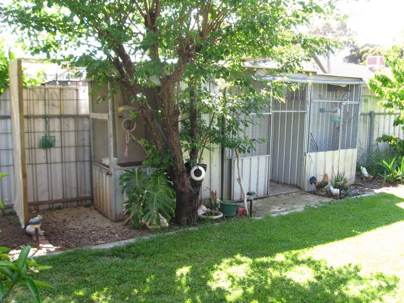 43 Lennox Dr, Paralowie SA 5108