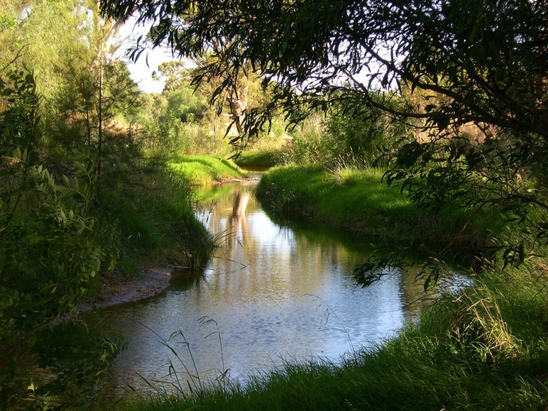 7 Creekview Drive, Mawson Lakes SA 5095