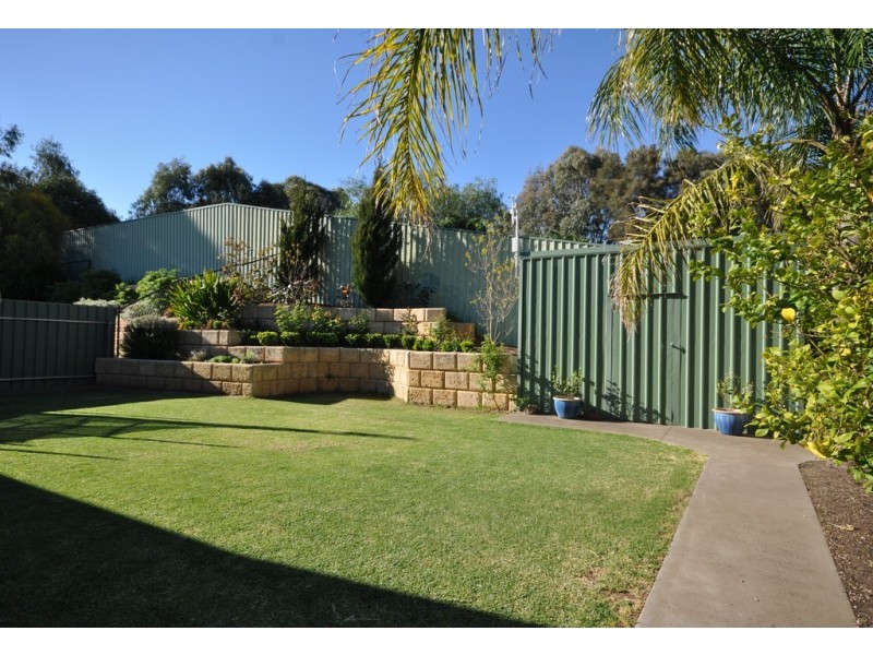 20 Creekview Drive, Mawson Lakes SA 5095