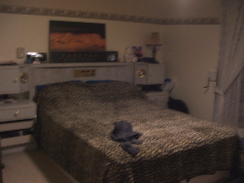 13 Miriam Road, Parafield Gardens SA 5107