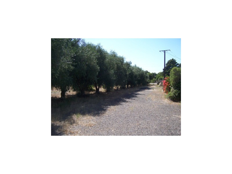 Lot 14 Heaslip Road, Penfield Gardens SA 5121
