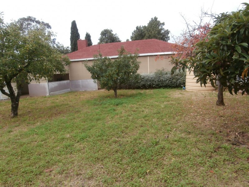 31 Bloomfield Crescent, Elizabeth Downs SA 5113