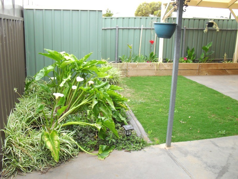 3 Springbank Grove, Blakeview SA 5114