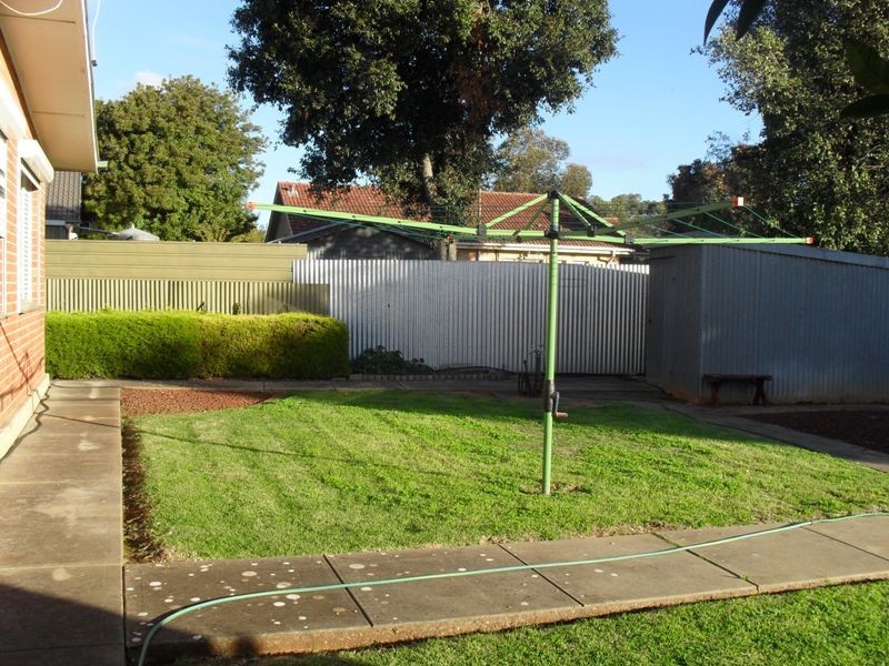 20 Berberis Street, Elizabeth Vale SA 5112