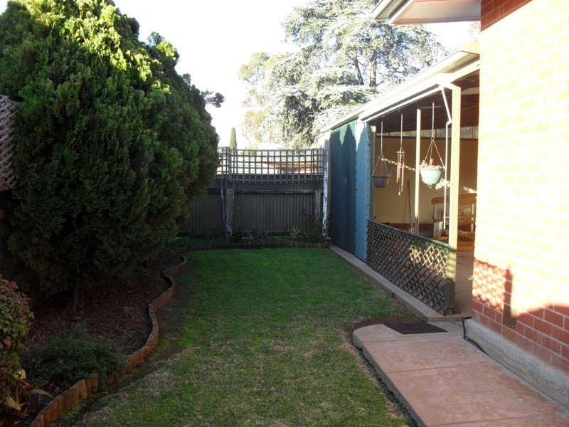 20 Berberis Street, Elizabeth Vale SA 5112