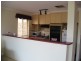 13 Insignia Avenue, Andrews Farm SA 5114
