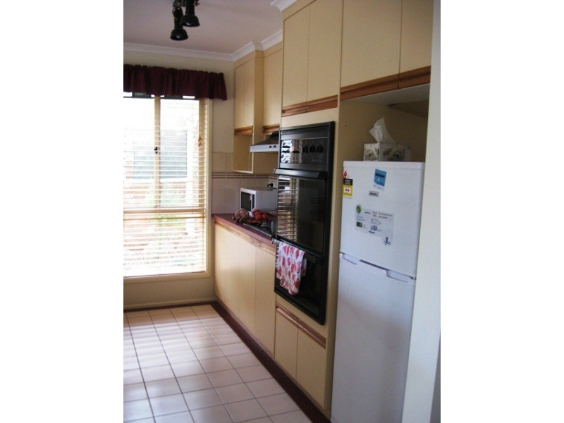 13 Insignia Avenue, Andrews Farm SA 5114