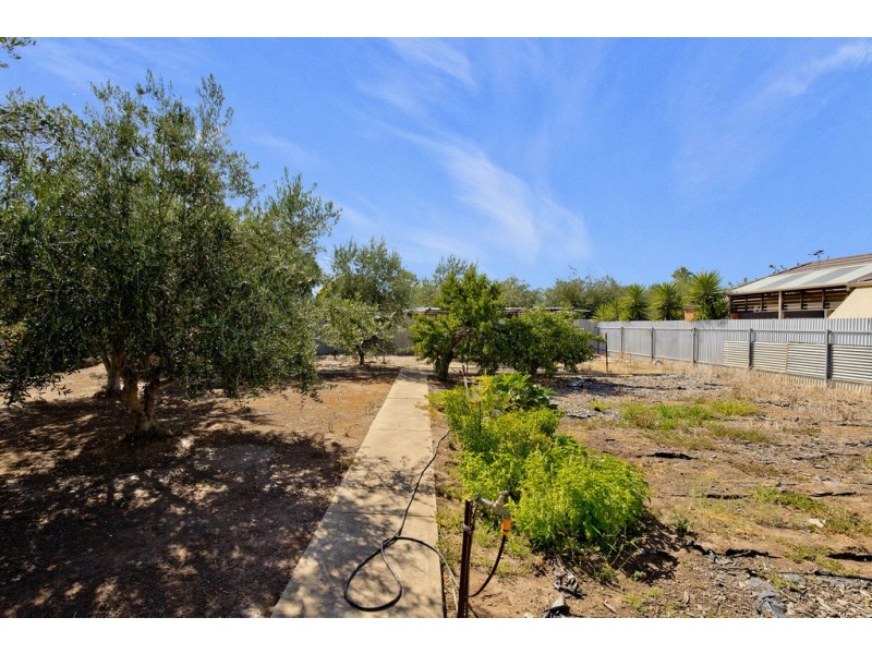 8 Stephens Avenue, Torrensville SA 5031