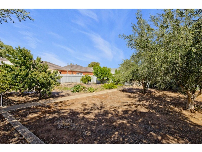 8 Stephens Avenue, Torrensville SA 5031