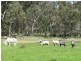 Lt 150 Gottwald Road, Williamstown SA 5351