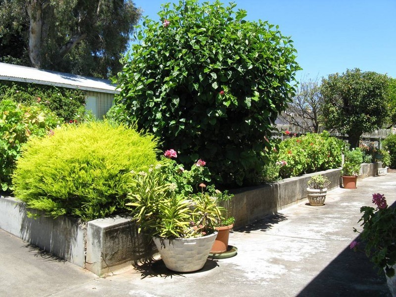 534 Magill Rd, Magill SA 5072