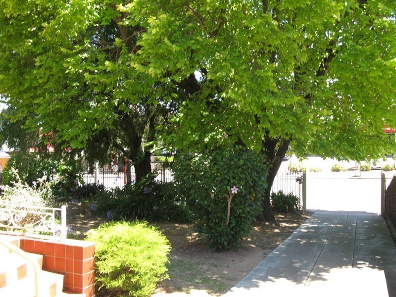 534 Magill Rd, Magill SA 5072