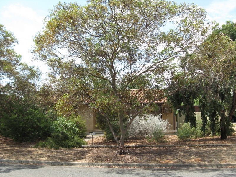 5 Salerno Court, Elizabeth East SA 5112