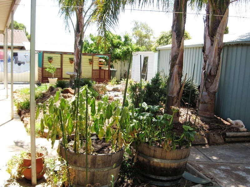 5 Salerno Court, Elizabeth East SA 5112