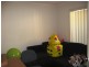 41b Kent Ave, Brahma Lodge SA 5109