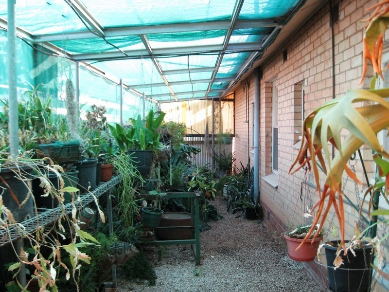 25 Andrews Road, Elizabeth Downs SA 5113