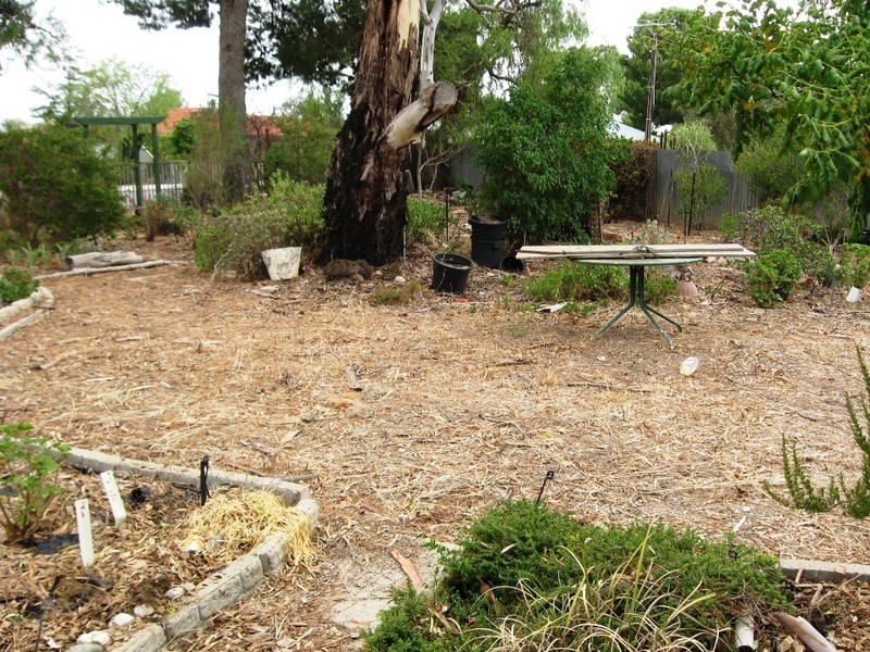 2 Kirchner St, Freeling SA 5372