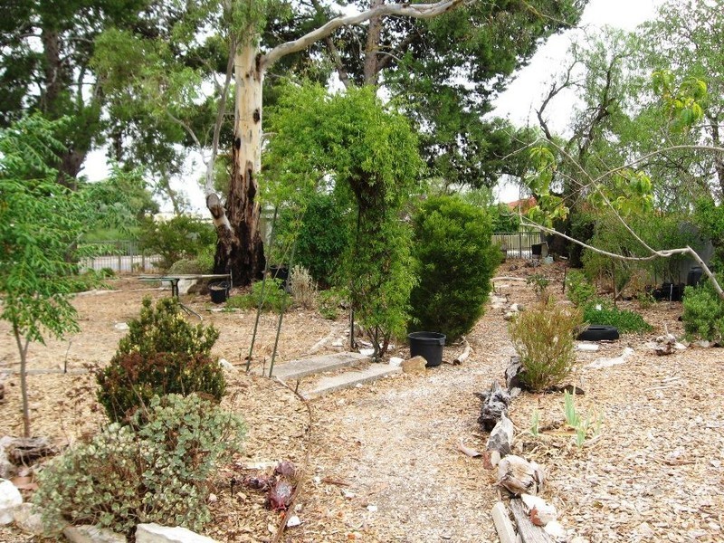 2 Kirchner St, Freeling SA 5372