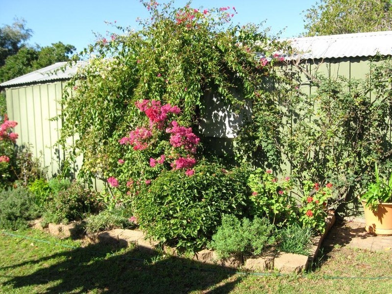 7 Bellinger Rd, Elizabeth East SA 5112