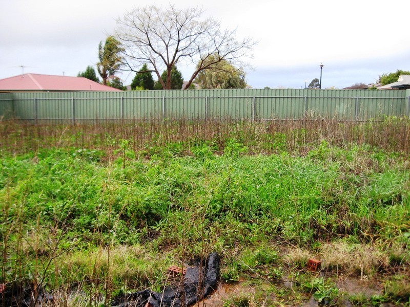 18 Pinewood Avenue, Blakeview SA 5114