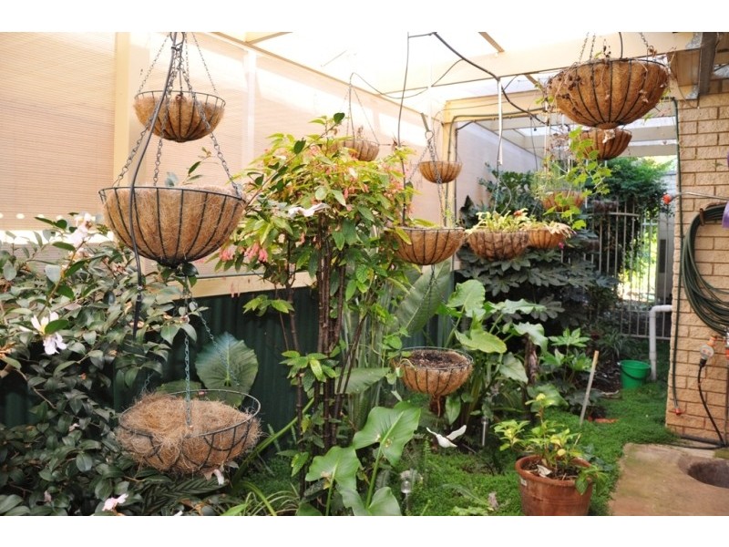 23 Duke Street, Paralowie SA 5108