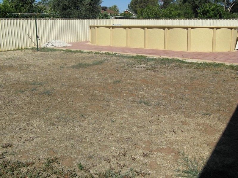 19 Ryans Road, Parafield Gardens SA 5107