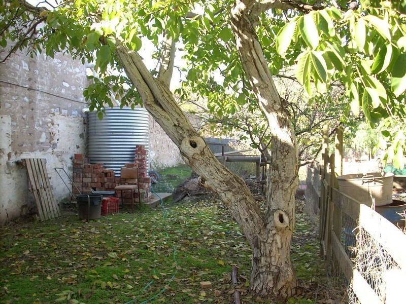 32 Railway  Street, Kapunda SA 5373