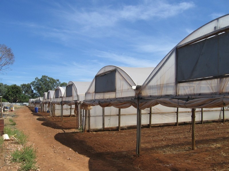 Lot 70 Julian Rd, Macdonald Park SA 5121