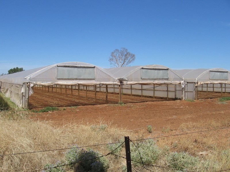 Lot 70 Julian Rd, Macdonald Park SA 5121