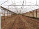 Lot 70 Julian Rd, Macdonald Park SA 5121