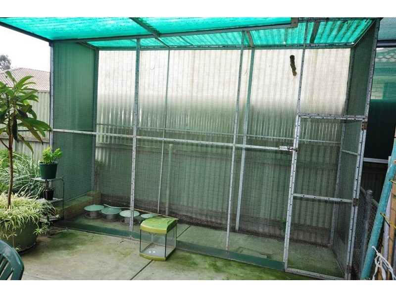 9 Quondong Avenue, Parafield Gardens SA 5107