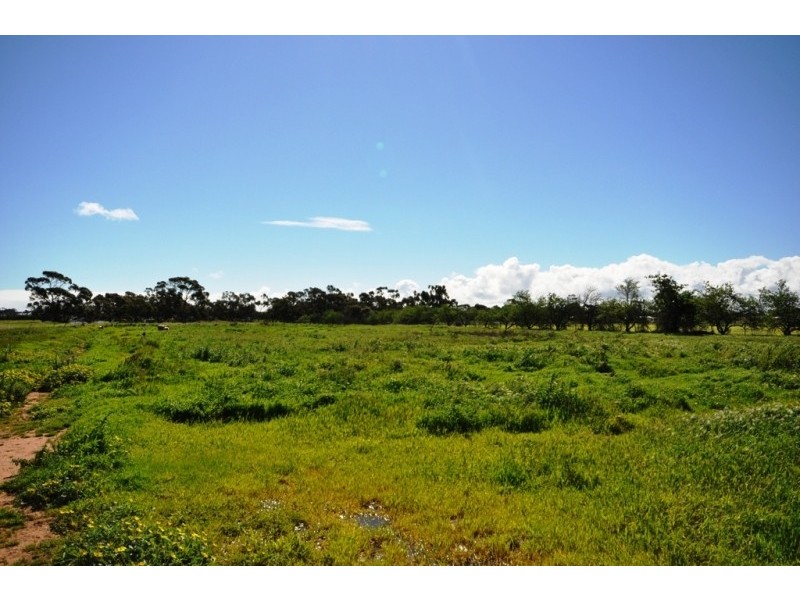 Lot 14 Heaslip Road, Penfield Gardens SA 5121