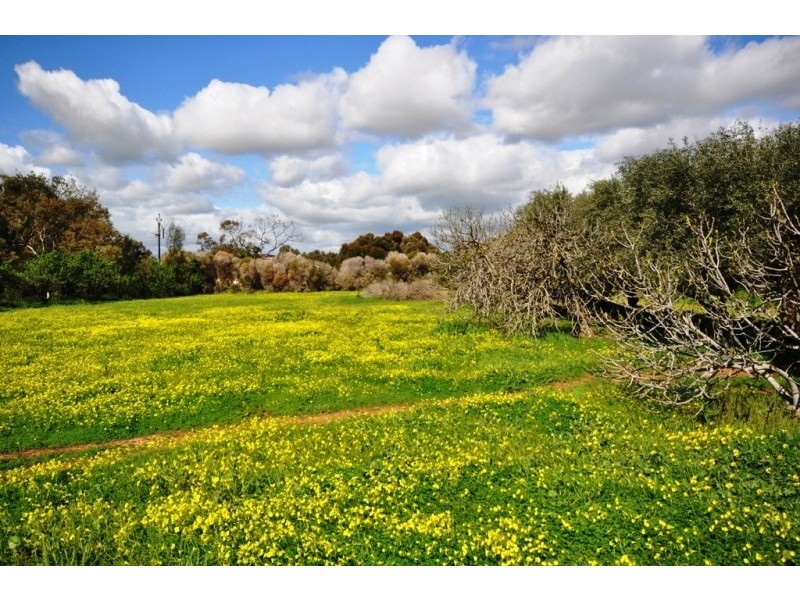 Lot 14 Heaslip Road, Penfield Gardens SA 5121