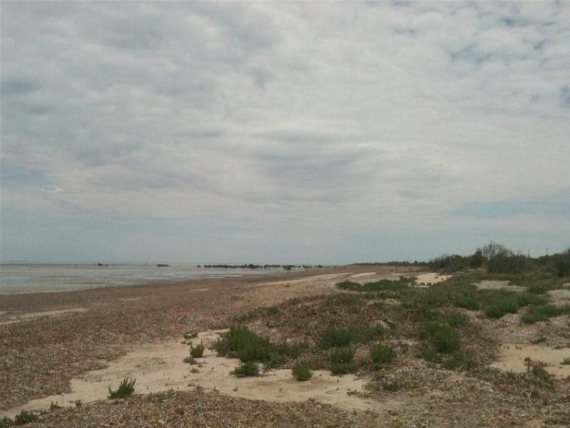 Lot 125 Gannet Court, Thompson Beach SA 5501