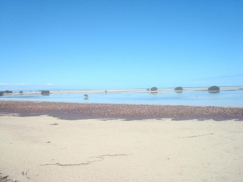 Lot 125 Gannet Court, Thompson Beach SA 5501