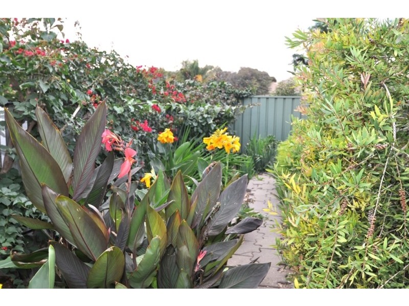 4  Garfield Court, Paralowie SA 5108
