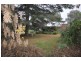 70 Ashbrook Avenue, Payneham SA 5070