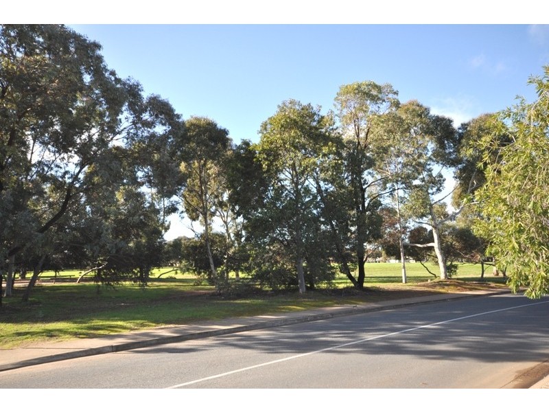 16 Roseworthy Drive, Andrews Farm SA 5114