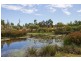 4 Lakewood Court, Mawson Lakes SA 5095