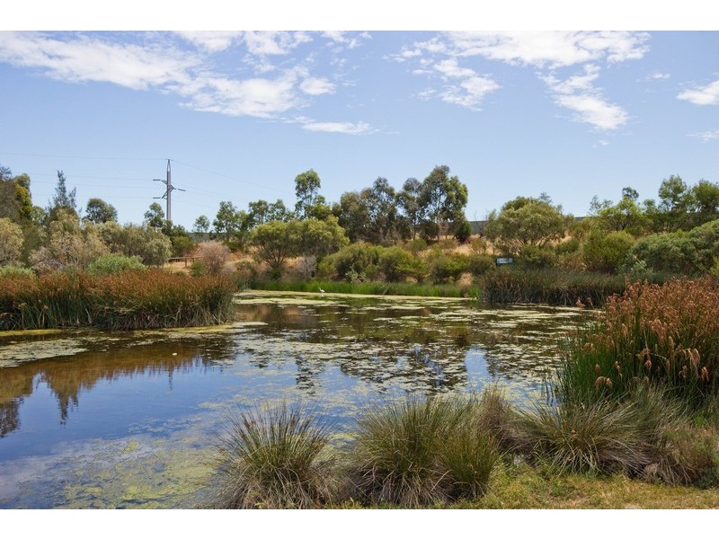 4 Lakewood Court, Mawson Lakes SA 5095