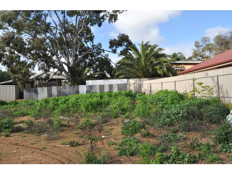 20 (Lot 201) Park Terrace, Enfield SA 5085