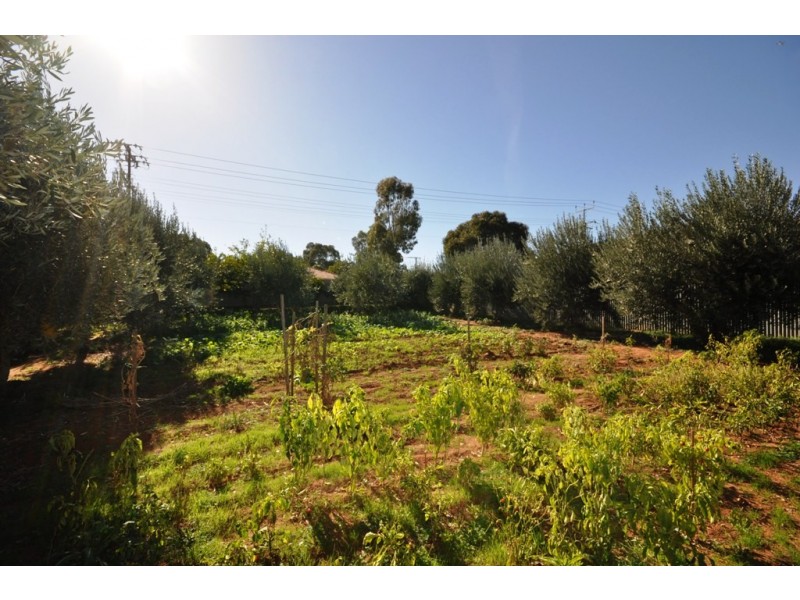 231 Bridge Road, Ingle Farm SA 5098