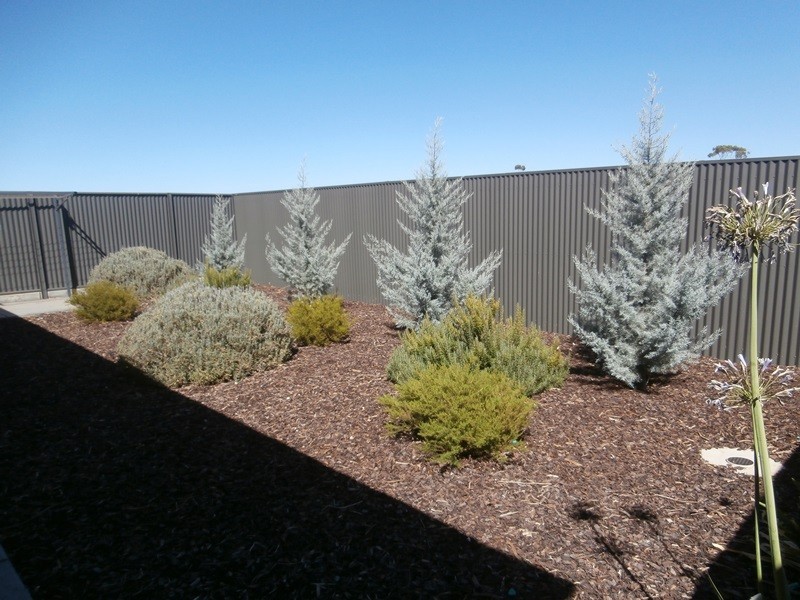 13 The Avenue, Blakeview SA 5114