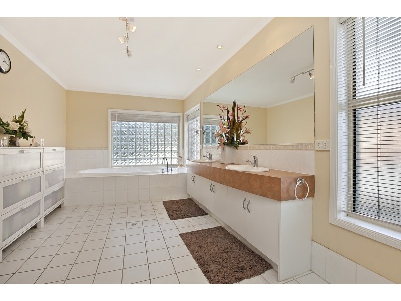 2 Ibis Street, Mawson Lakes SA 5095