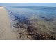 Lot 127 Gannet Court, Thompson Beach SA 5501
