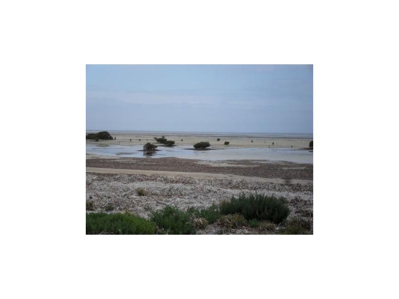 Lot 127 Gannet Court, Thompson Beach SA 5501