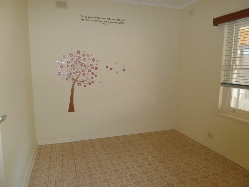 54 Avenue Road, Paradise SA 5075