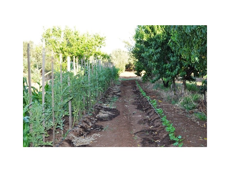 Lot 41 Dalkeith Road, Kudla SA 5115