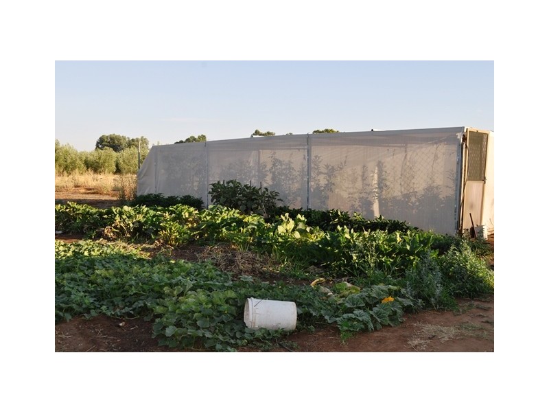 Lot 41 Dalkeith Road, Kudla SA 5115